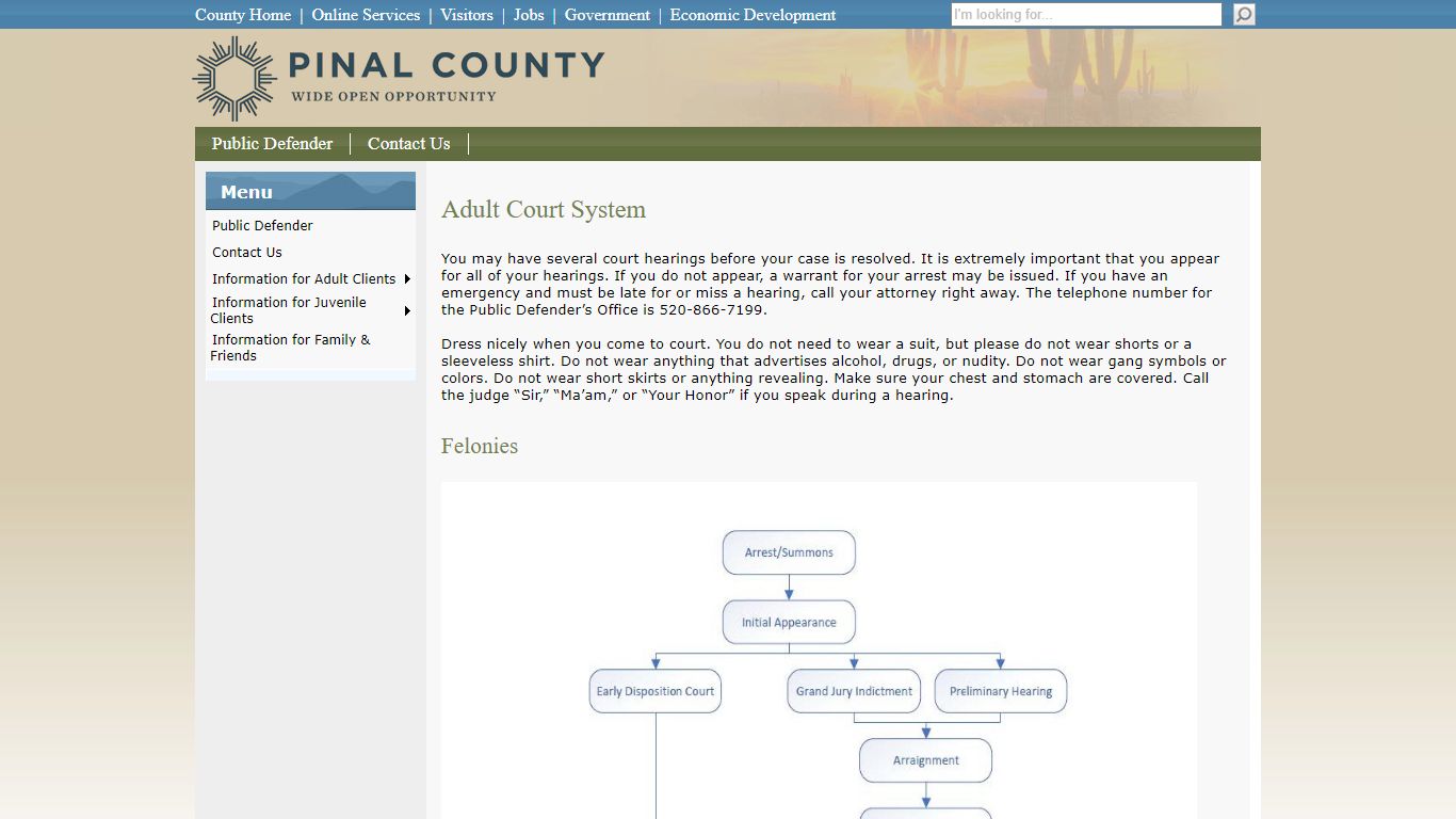 Adult Court System - Pinal County